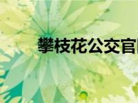 攀枝花公交官网（攀枝花公交简介）