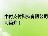 中付支付科技有限公司备付金是什么（中付支付科技有限公司简介）