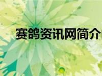 赛鸽资讯网简介内容（赛鸽资讯网简介）