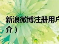 新浪微博注册用户有多少（新浪微博注册狂简介）