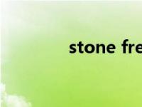 stone free（STONE简介）