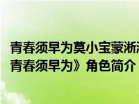 青春须早为莫小宝蒙淅淅在一起了吗（莫小宝-创业青春剧《青春须早为》角色简介）