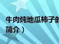 牛肉炖地瓜柿子的做法视频（牛肉炖地瓜柿子简介）