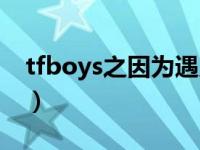 tfboys之因为遇见你（tfboys之久久爱简介）