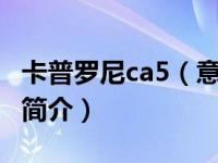 卡普罗尼ca5（意大利卡普罗尼CA133运输机简介）