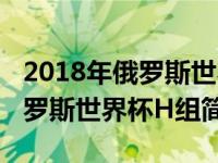 2018年俄罗斯世界杯小组赛分组（2018年俄罗斯世界杯H组简介）