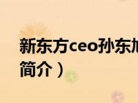 新东方ceo孙东旭简介（张建秀-天天网CEO简介）