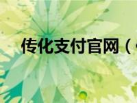 传化支付官网（传化支付有限公司简介）