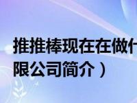 推推棒现在在做什么（武汉推推棒网络科技有限公司简介）