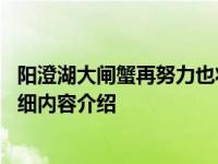 阳澄湖大闸蟹再努力也将缺席中秋 价格会上涨吗具体情况详细内容介绍