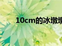 10cm的冰墩墩多少钱（10cm多长）