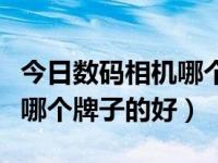 今日数码相机哪个牌子好用又实惠（数码相机哪个牌子的好）