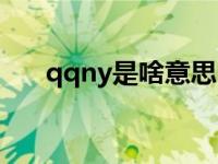 qqny是啥意思（qqny的缩写有哪些）