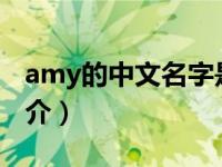 amy的中文名字是什么（Amy Weinstein简介）