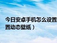 今日安卓手机怎么设置动态壁纸带声音的（安卓手机怎么设置动态壁纸）