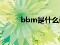 bbm是什么调（黑莓BBM简介）