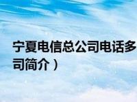 宁夏电信总公司电话多少（中国电信股份有限公司宁夏分公司简介）