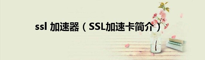 ssl 加速器（SSL加速卡简介）