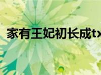 家有王妃初长成txt（家有王妃初长成简介）