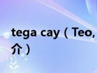 tega cay（Teo, cazador intergaláctico简介）