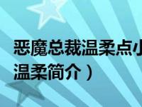 恶魔总裁温柔点小说（治愈娇妻：恶魔总裁请温柔简介）