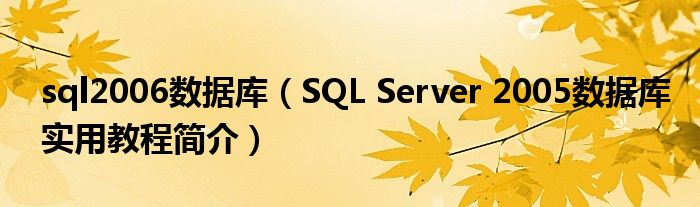 sql2006数据库（SQL Server 2005数据库实用教程简介）