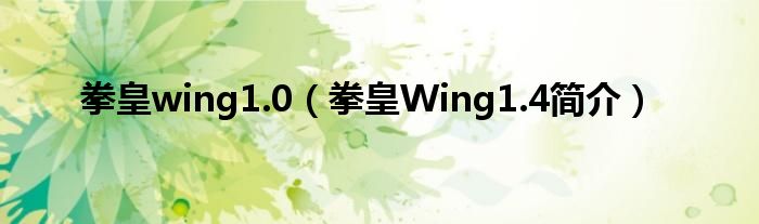 拳皇wing1.0（拳皇Wing1.4简介）
