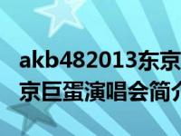 akb482013东京巨蛋演唱会（AKB48集团东京巨蛋演唱会简介）