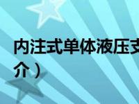 内注式单体液压支柱（内柱式单体液压支柱简介）