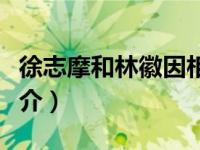 徐志摩和林徽因相遇（当徐志摩遇上林徽因简介）