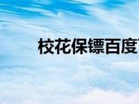 校花保镖百度百科（校花保镖简介）