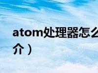 atom处理器怎么样（atom-Atom处理器简介）