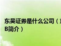 东吴证券是什么公司（东吴货币市场证券投资基金-东吴货币B简介）