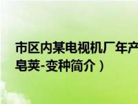 市区内某电视机厂年产电视机5万台畅销国内外市场（绒毛皂荚-变种简介）