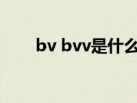 bv bvv是什么电线（bvv是什么线）