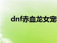 dnf赤血龙女宠物外观（dnf赤血龙女）