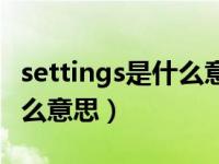 settings是什么意思中文翻译（settings是什么意思）