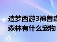 造梦西游3神兽森林干嘛的（造梦西游3神兽森林有什么宠物）