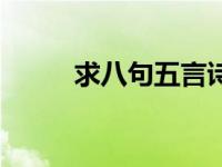 求八句五言诗句（求八句五言诗）