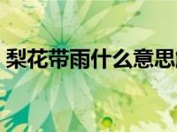 梨花带雨什么意思解释（梨花带雨什么意思）