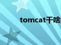 tomcat干啥的（tomcat是什么）