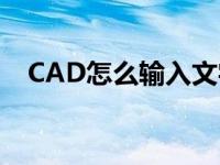 CAD怎么输入文字?（cad怎么输入文字）