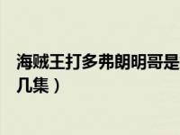 海贼王打多弗朗明哥是第几集的（海贼王打多弗朗明哥是第几集）