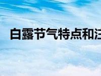 白露节气特点和注意事项（白露节气特点）