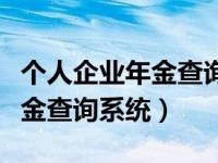 个人企业年金查询系统官方网站（个人企业年金查询系统）