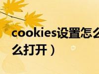 cookies设置怎么打开手机（cookies设置怎么打开）