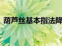 葫芦丝基本指法降b调（葫芦丝的基本指法）