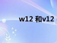 w12 和v12（w12和v12哪个强）