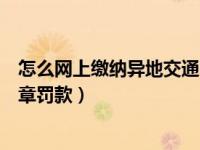 怎么网上缴纳异地交通罚款（怎样在网上缴纳异地的交通违章罚款）