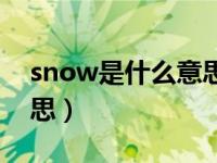 snow是什么意思译怎么读（snow是什么意思）